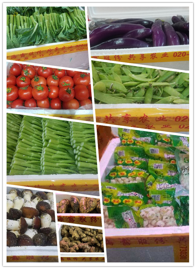 首页-PA集团有限公司官网入口