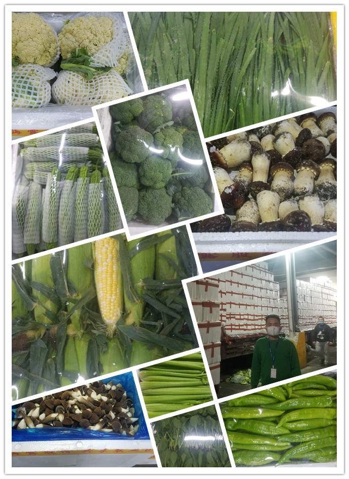 首页-PA集团有限公司官网入口