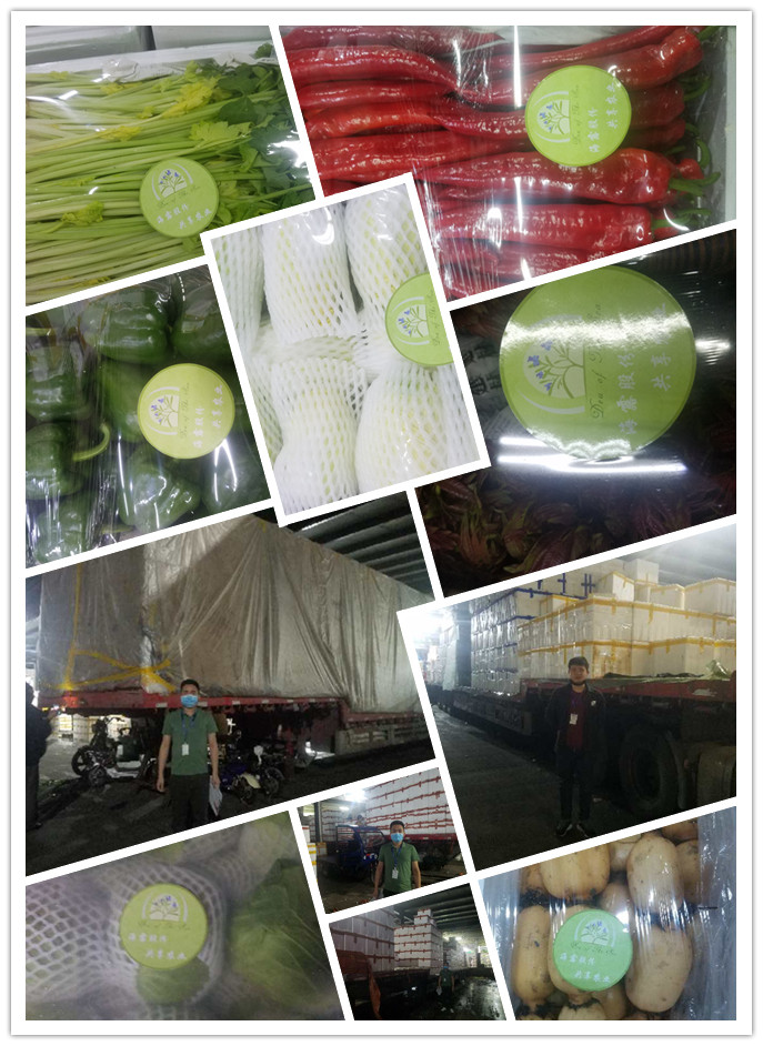 首页-PA集团有限公司官网入口