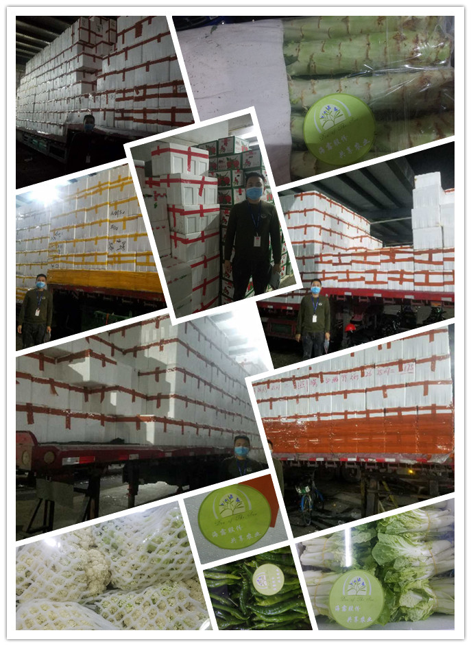 首页-PA集团有限公司官网入口