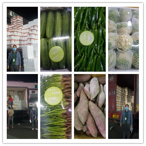 首页-PA集团有限公司官网入口