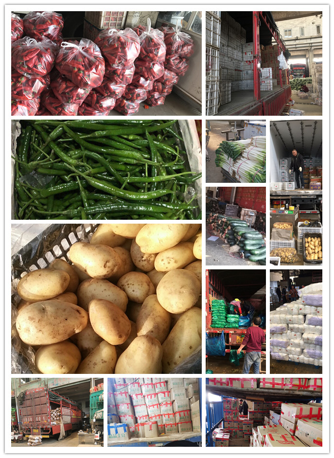 首页-PA集团有限公司官网入口