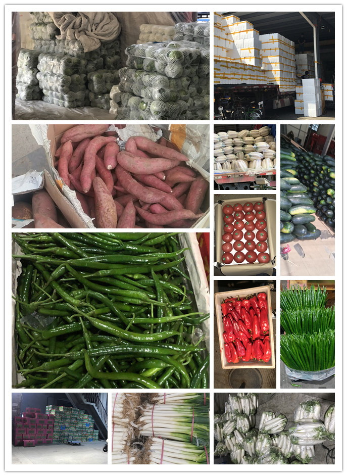 首页-PA集团有限公司官网入口