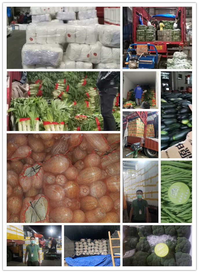 首页-PA集团有限公司官网入口