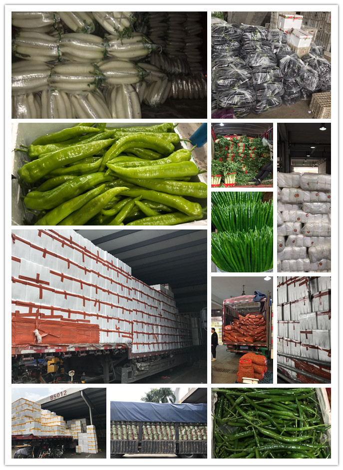 首页-PA集团有限公司官网入口