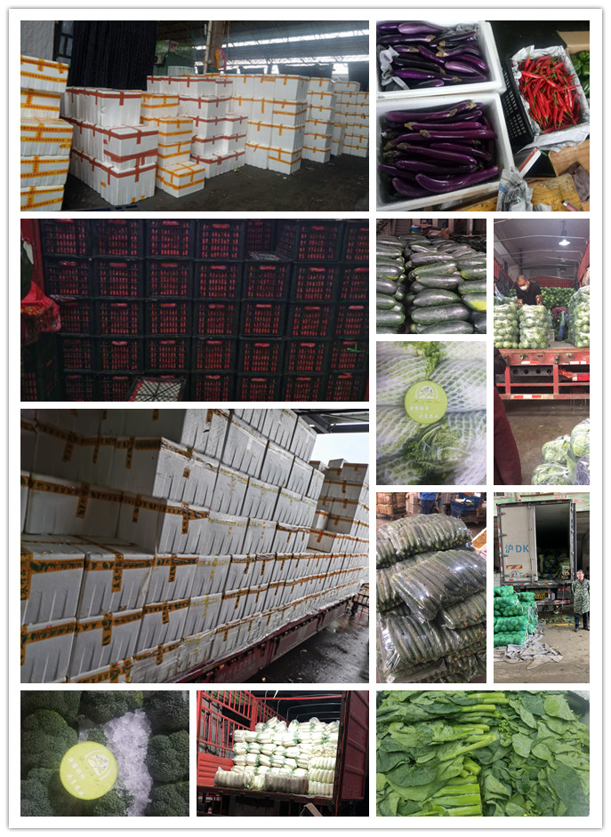 首页-PA集团有限公司官网入口