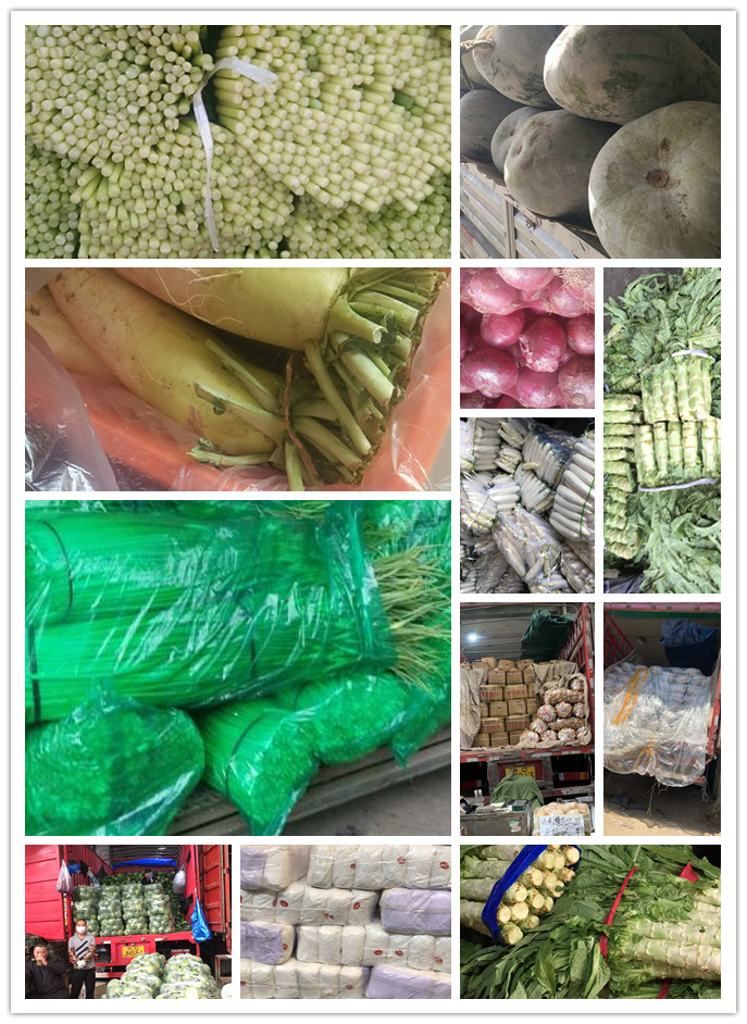 首页-PA集团有限公司官网入口