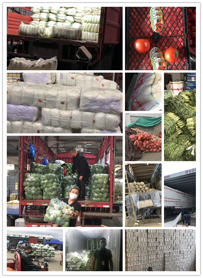 首页-PA集团有限公司官网入口