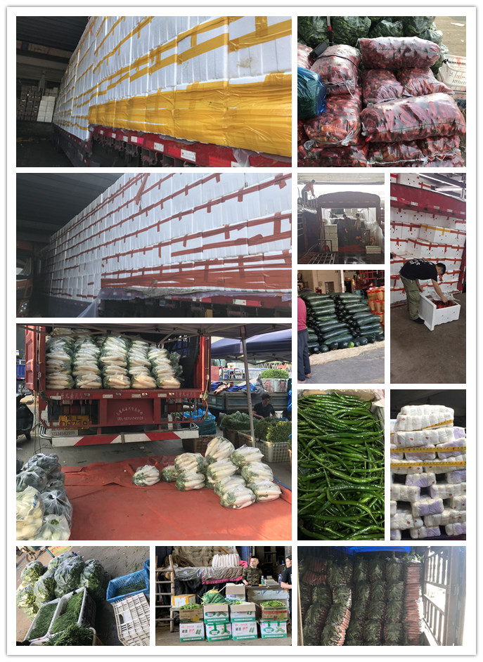 首页-PA集团有限公司官网入口