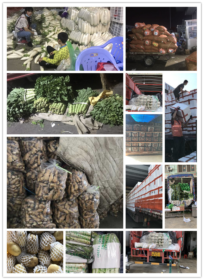 首页-PA集团有限公司官网入口