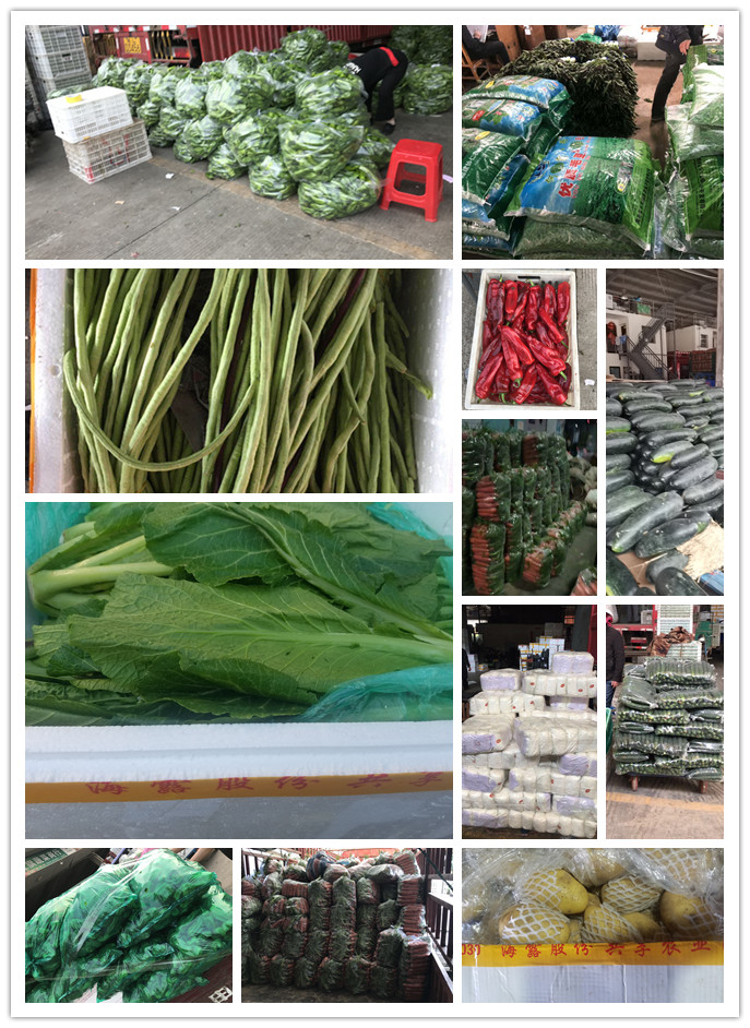 首页-PA集团有限公司官网入口