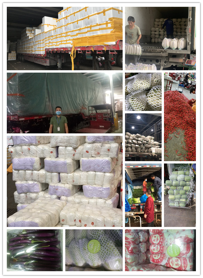 首页-PA集团有限公司官网入口