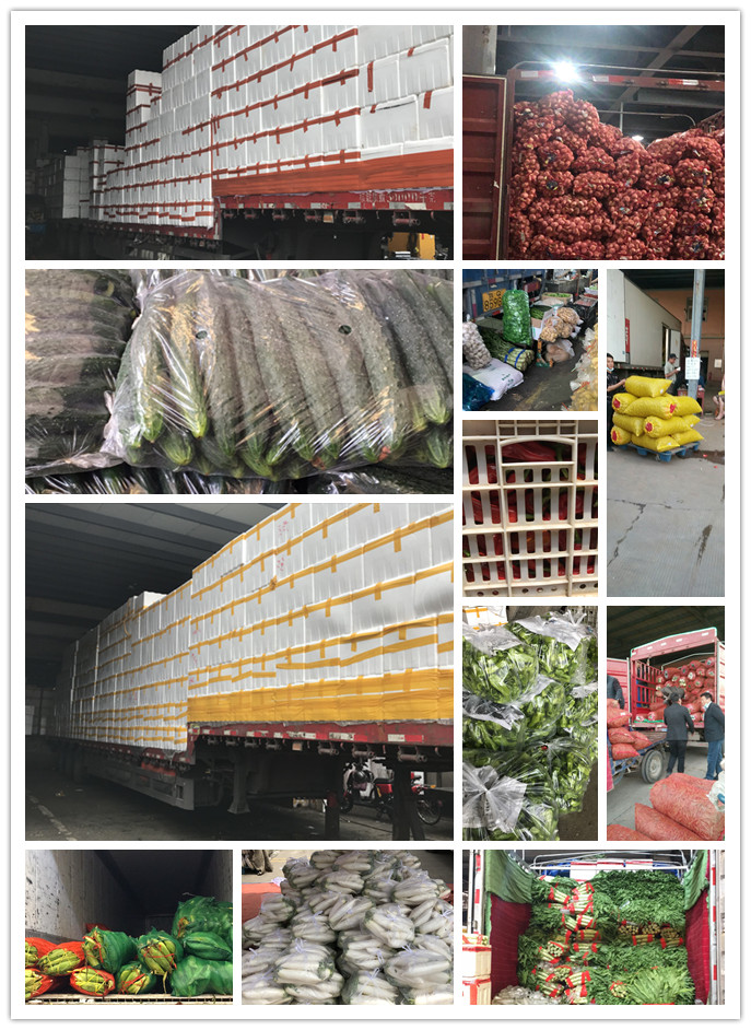 首页-PA集团有限公司官网入口