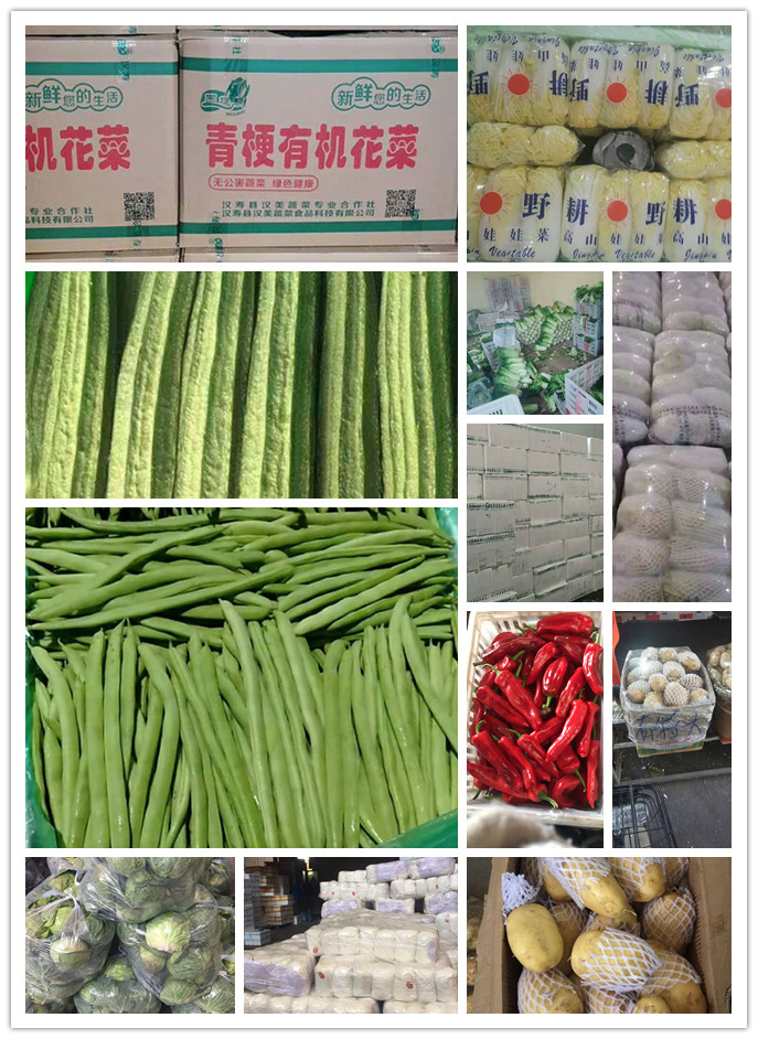 首页-PA集团有限公司官网入口