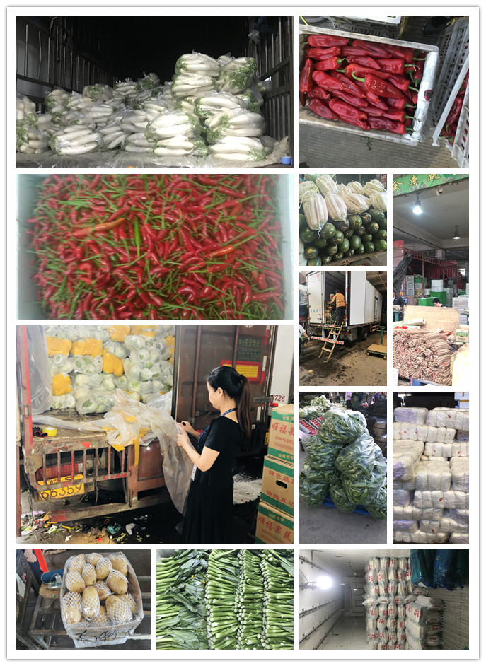 首页-PA集团有限公司官网入口