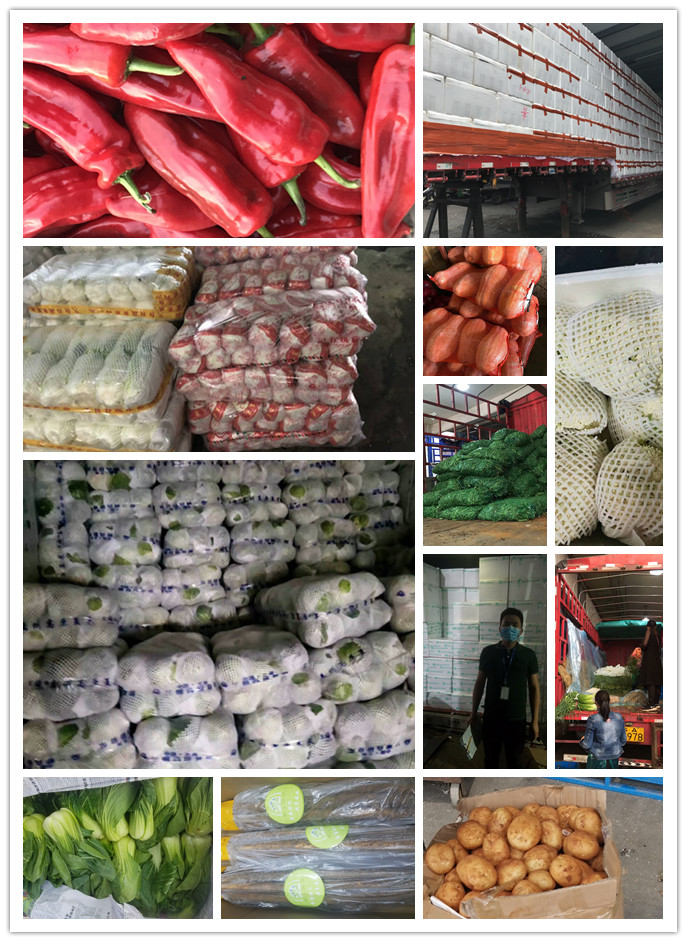 首页-PA集团有限公司官网入口