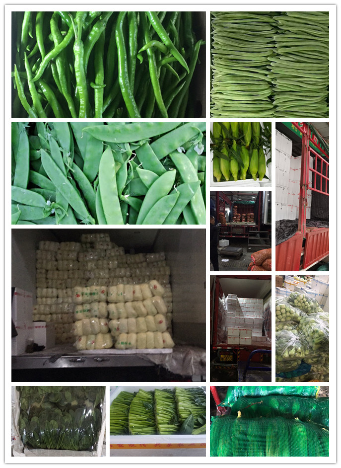 首页-PA集团有限公司官网入口