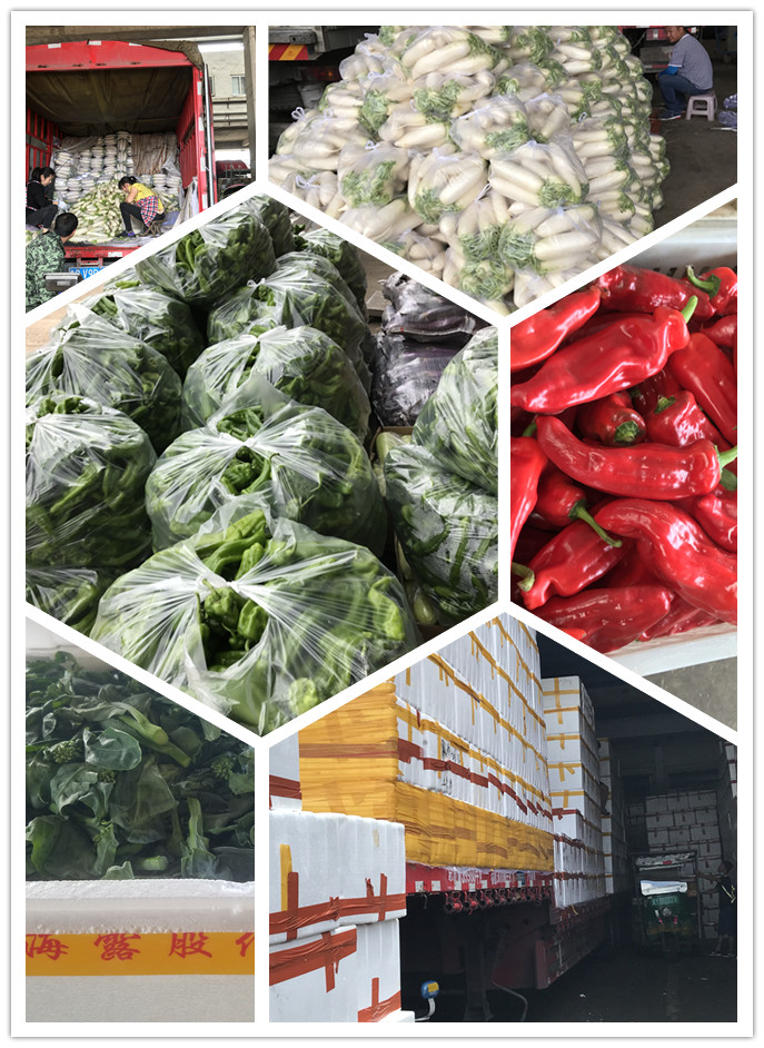 首页-PA集团有限公司官网入口