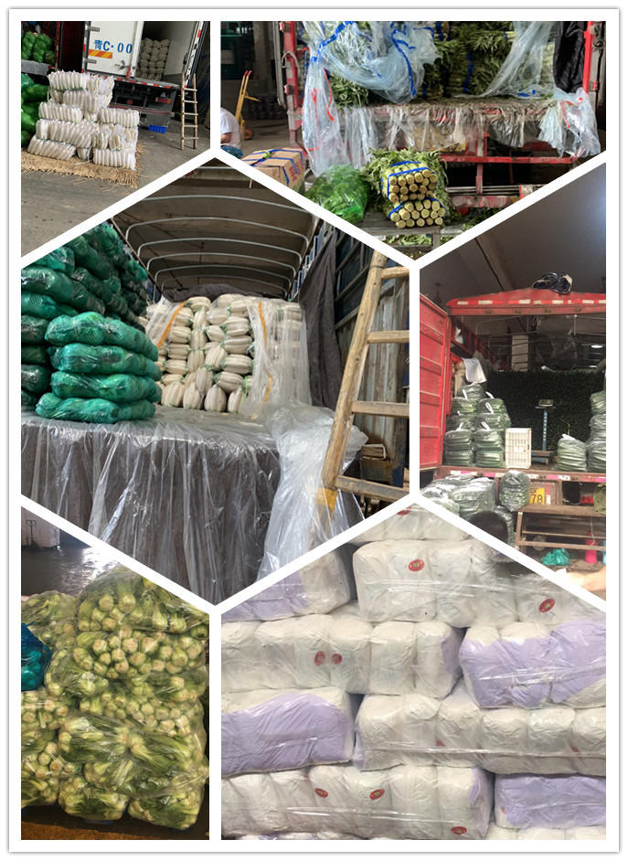 首页-PA集团有限公司官网入口