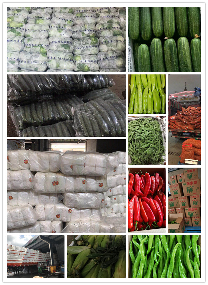 首页-PA集团有限公司官网入口