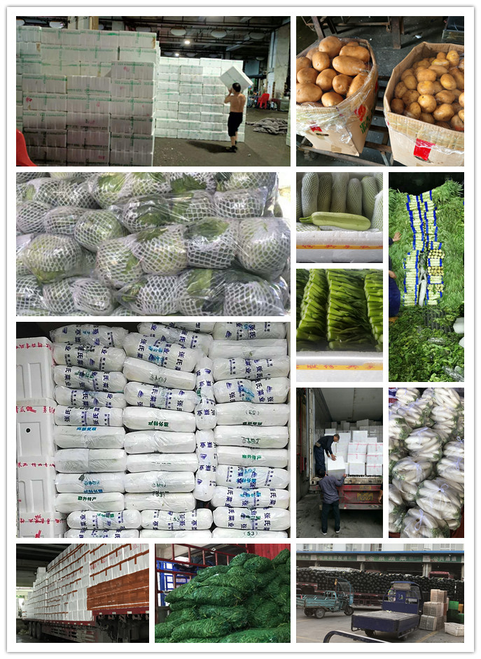 首页-PA集团有限公司官网入口