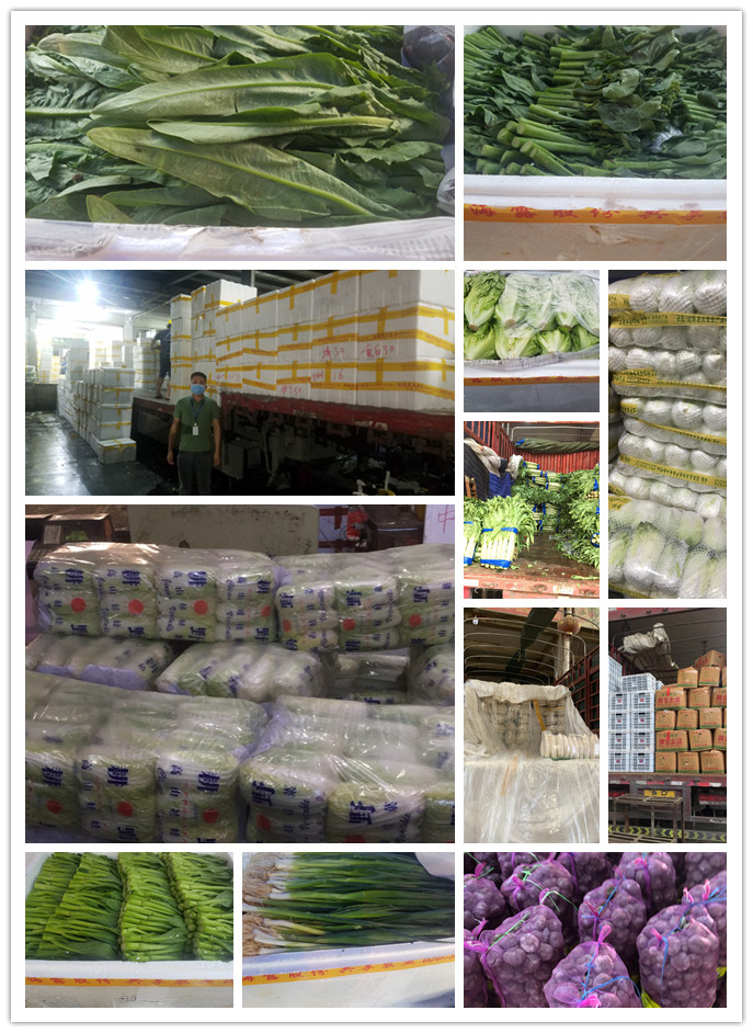 首页-PA集团有限公司官网入口