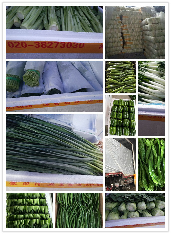 首页-PA集团有限公司官网入口