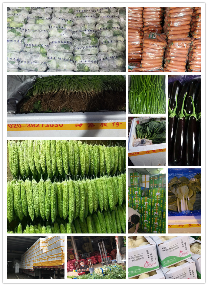 首页-PA集团有限公司官网入口