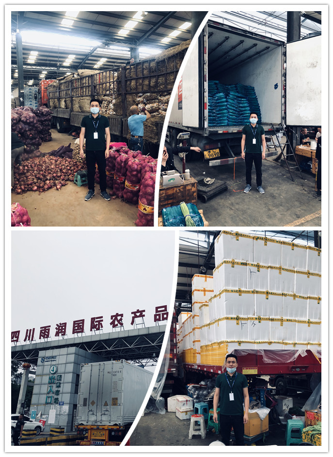 首页-PA集团有限公司官网入口