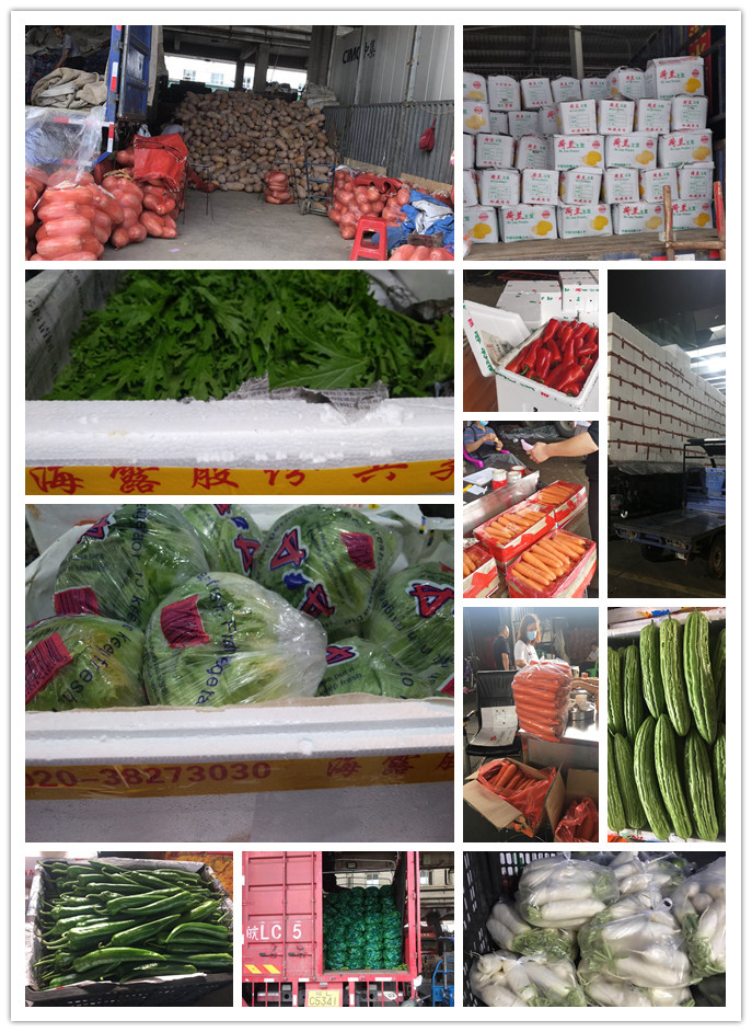 首页-PA集团有限公司官网入口