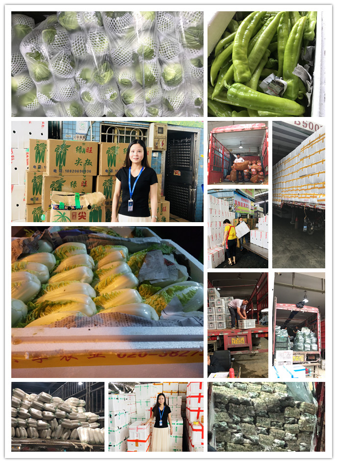 首页-PA集团有限公司官网入口