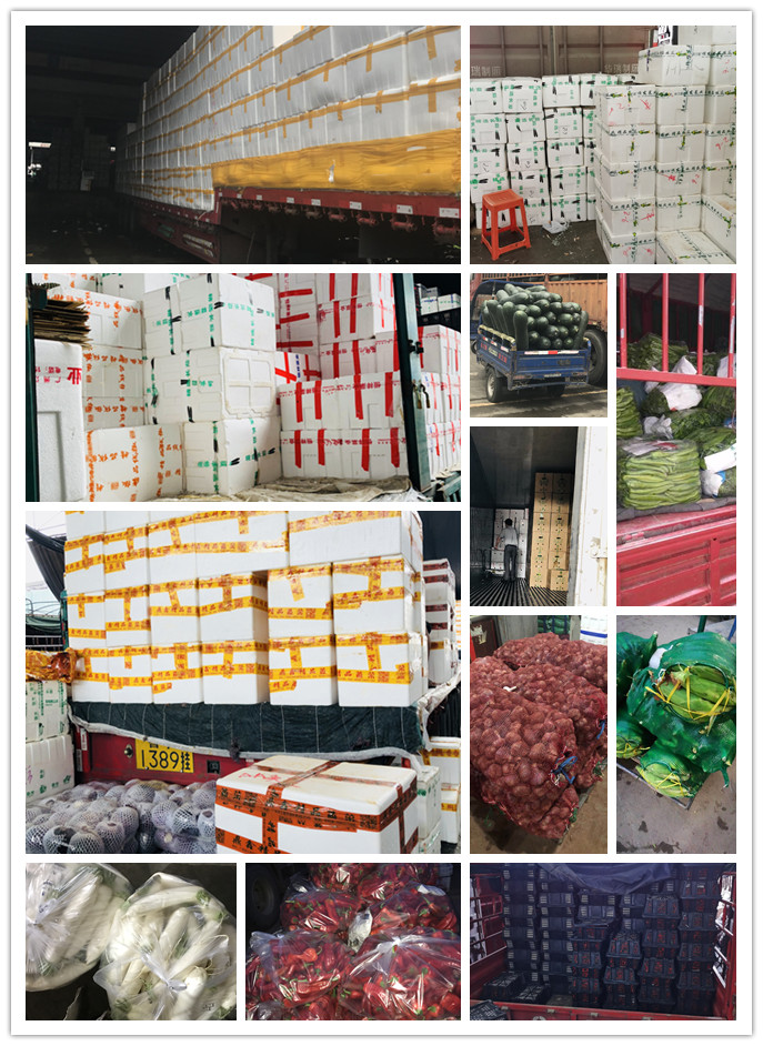 首页-PA集团有限公司官网入口