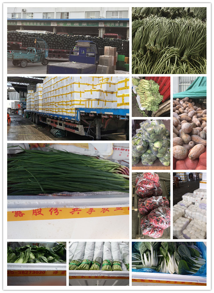 首页-PA集团有限公司官网入口