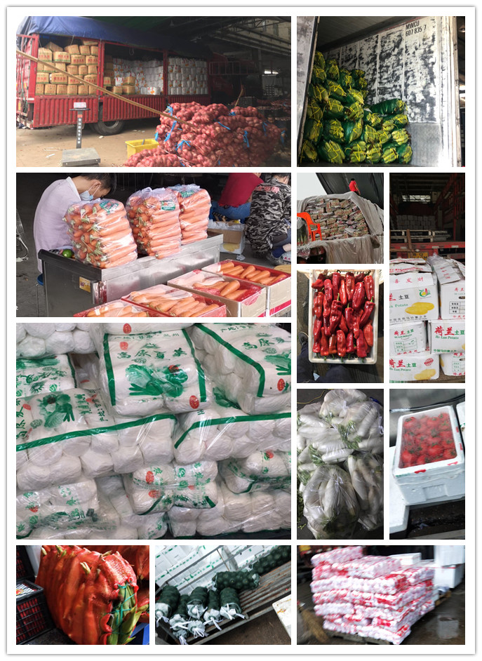 首页-PA集团有限公司官网入口