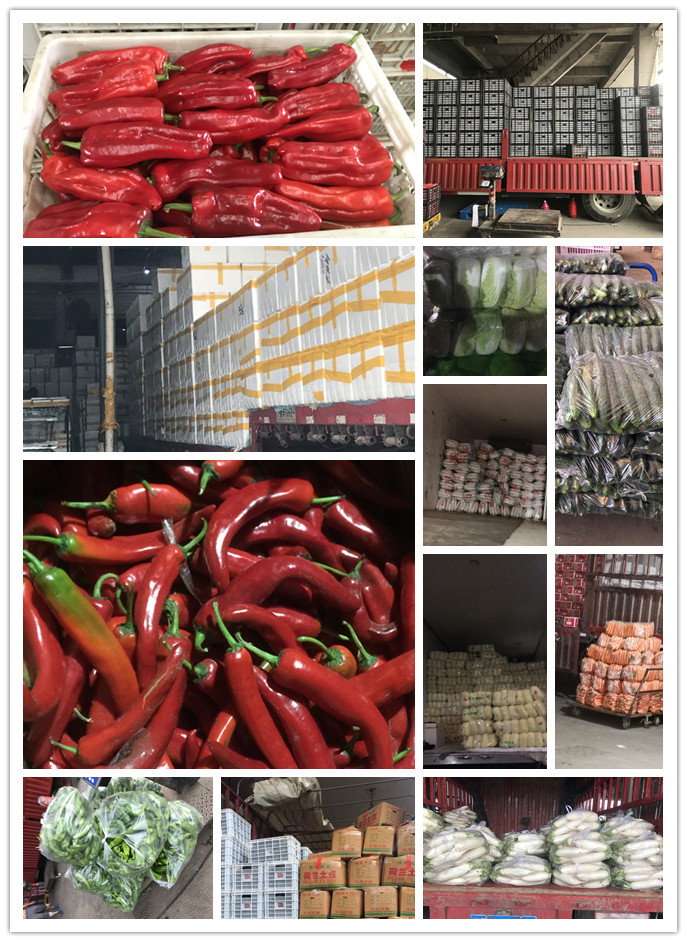 首页-PA集团有限公司官网入口