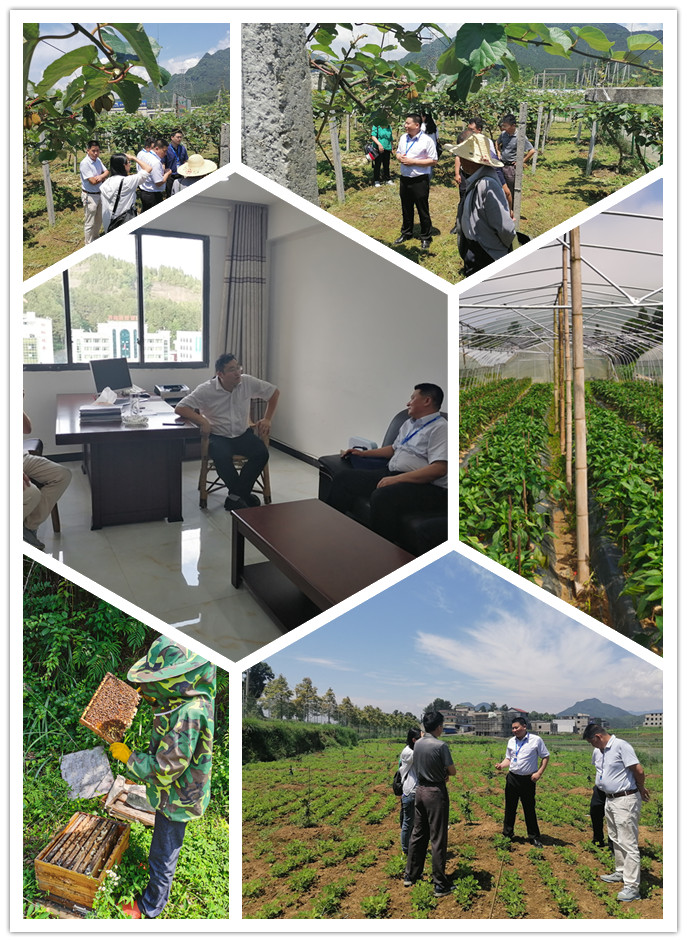 首页-PA集团有限公司官网入口