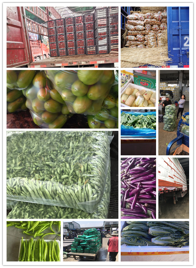 首页-PA集团有限公司官网入口