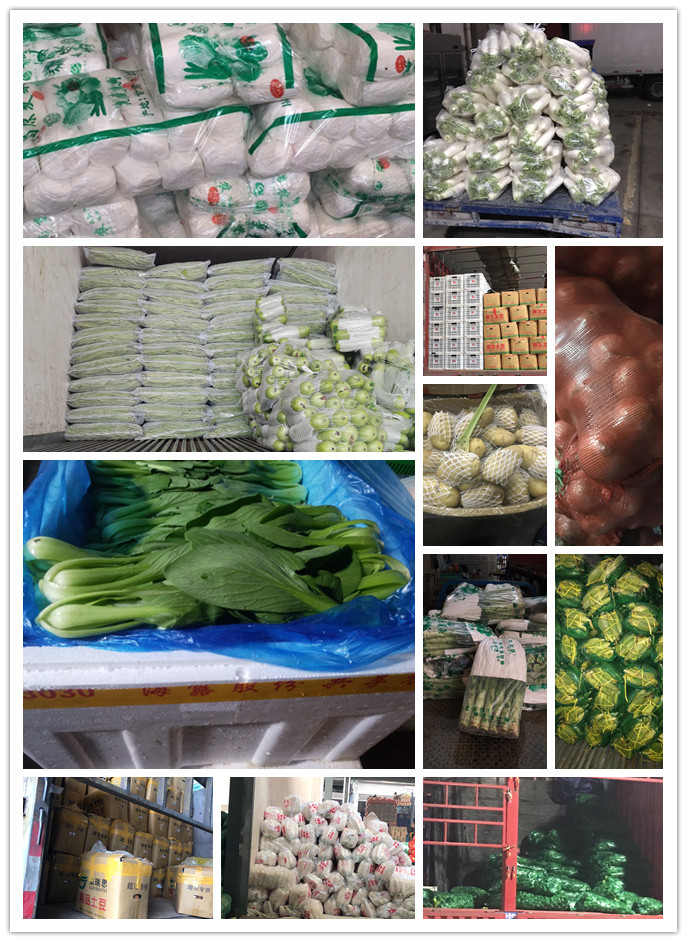 首页-PA集团有限公司官网入口