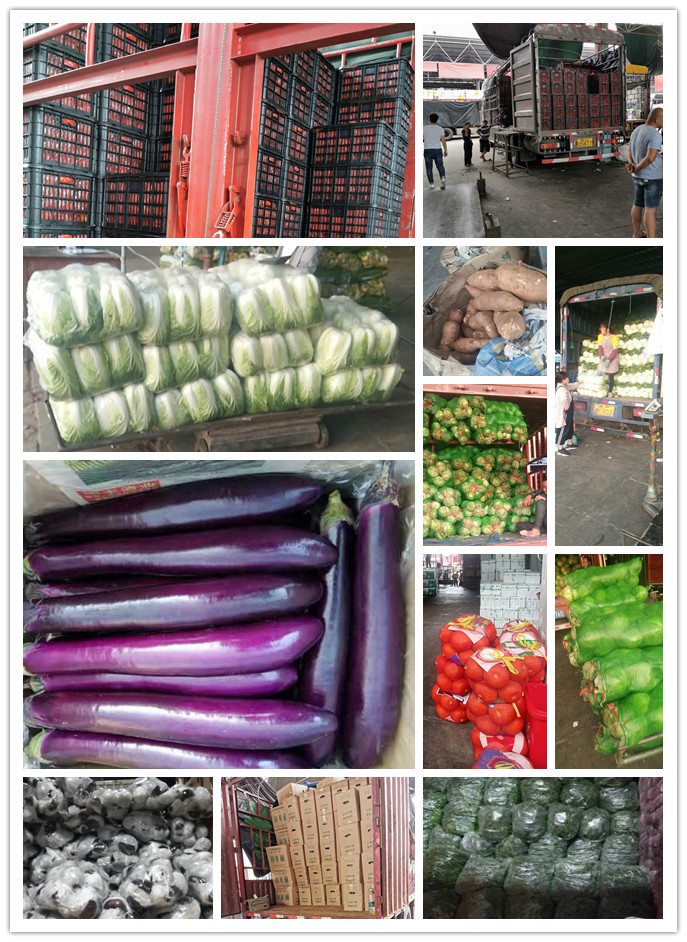 首页-PA集团有限公司官网入口