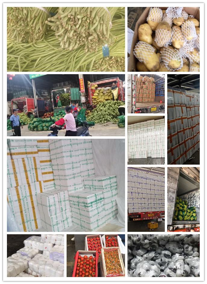 首页-PA集团有限公司官网入口