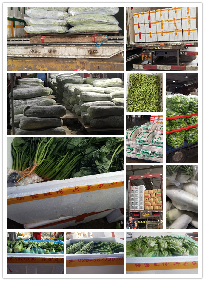 首页-PA集团有限公司官网入口