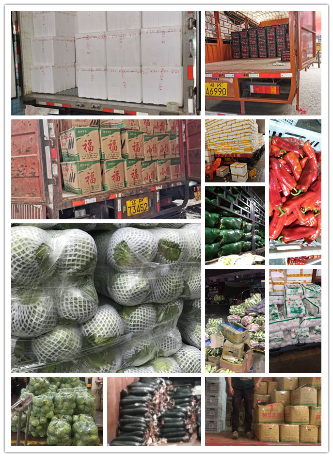 首页-PA集团有限公司官网入口