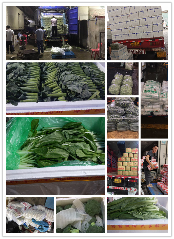 首页-PA集团有限公司官网入口