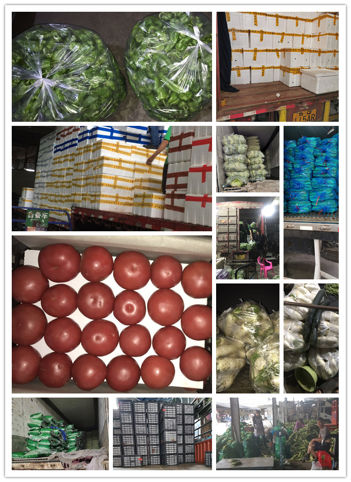 首页-PA集团有限公司官网入口