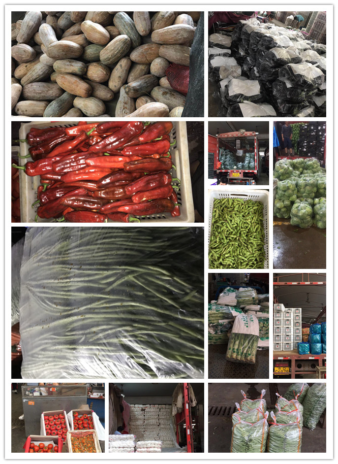 首页-PA集团有限公司官网入口