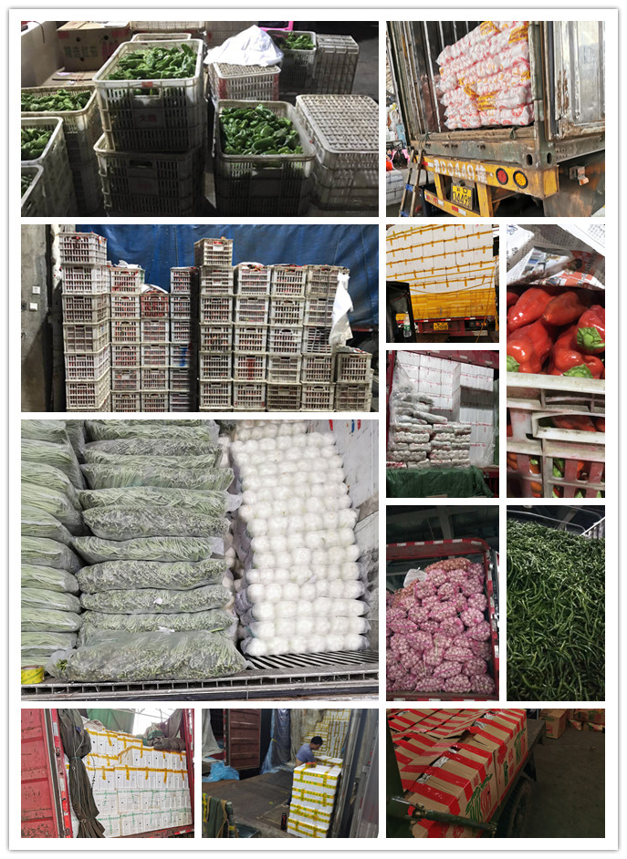 首页-PA集团有限公司官网入口