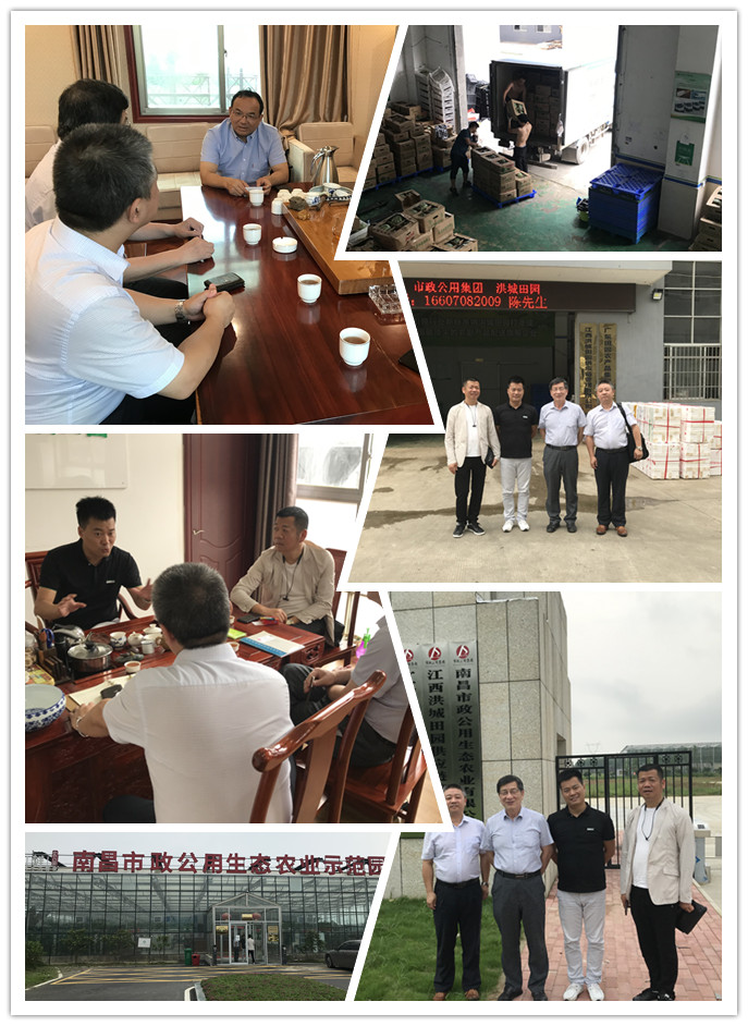 首页-PA集团有限公司官网入口