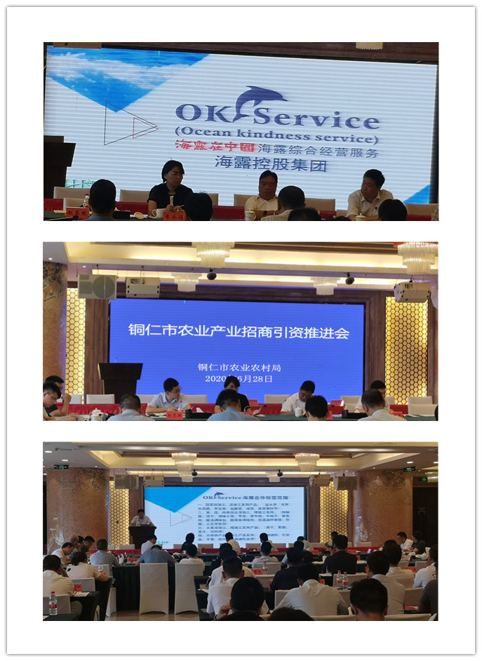 首页-PA集团有限公司官网入口