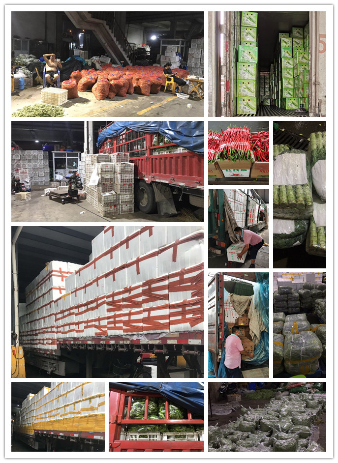 首页-PA集团有限公司官网入口