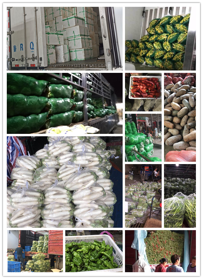 首页-PA集团有限公司官网入口